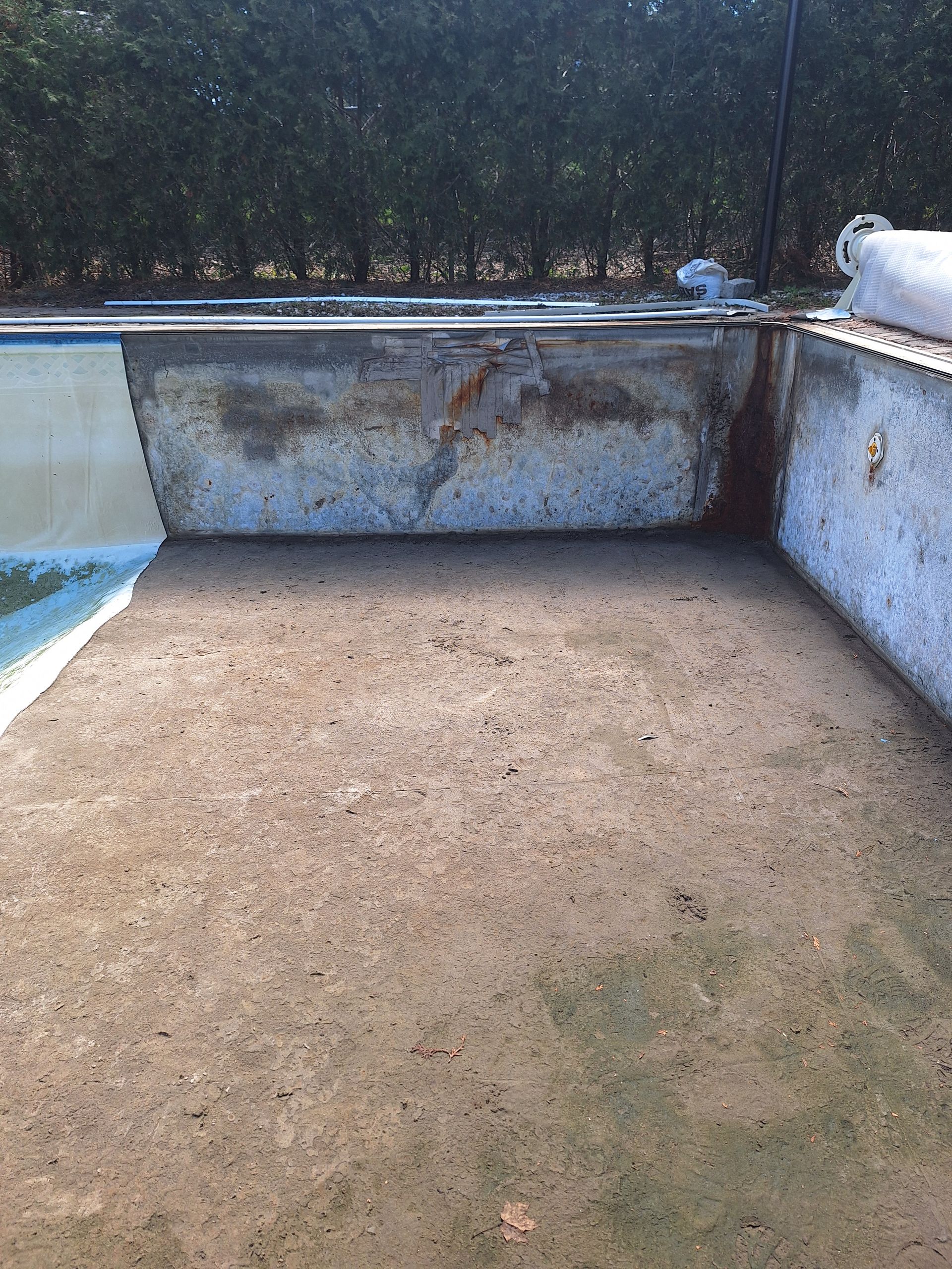 Une piscine vide et délabrée, au sol en béton brut et aux murs abîmés, se détachant sur un fond de haies vertes.