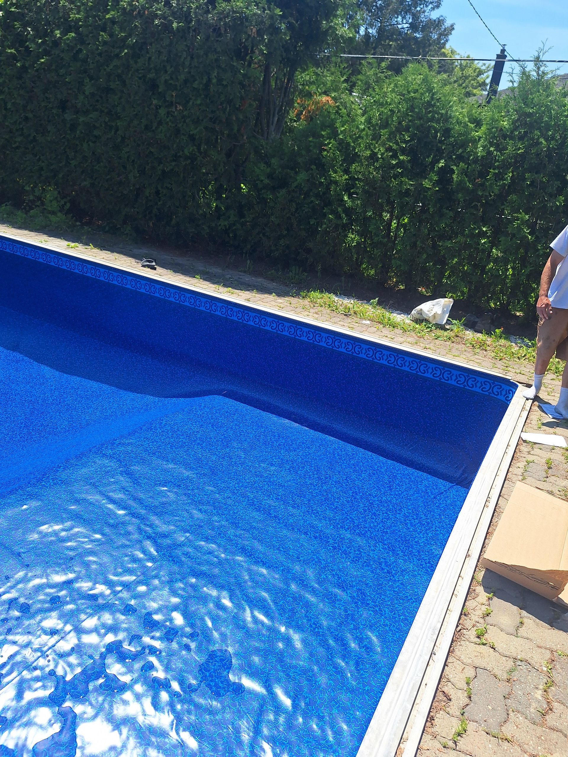 Une piscine d'un bleu éclatant remplie d'eau, bordée d'une haie de jardin, avec une personne debout sur la terrasse.
