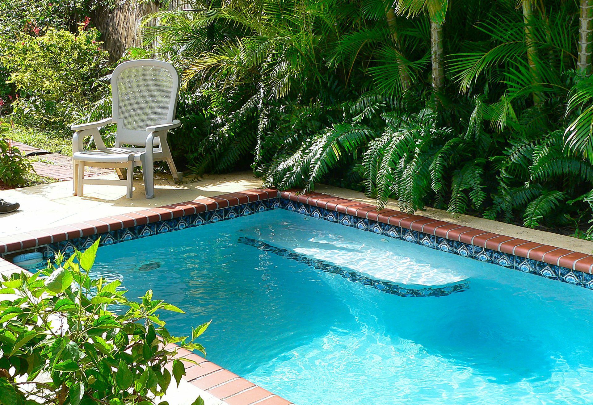 A large swimming pool surrounded by trees and a chair