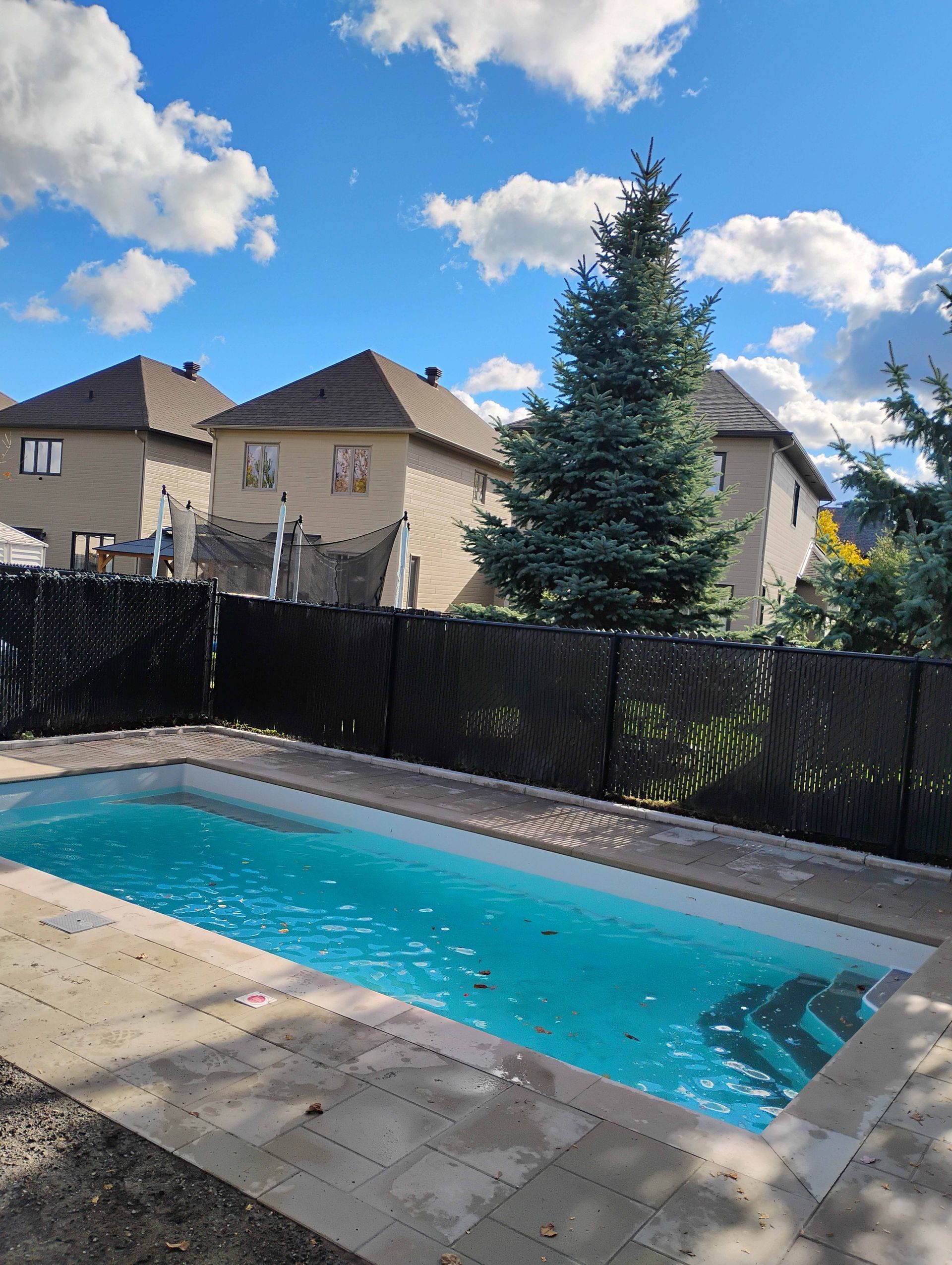 Une piscine rectangulaire aux eaux bleues se trouve dans un jardin, à côté d'une clôture noire, d'arbres et de maisons beiges, sous un ciel dégagé.