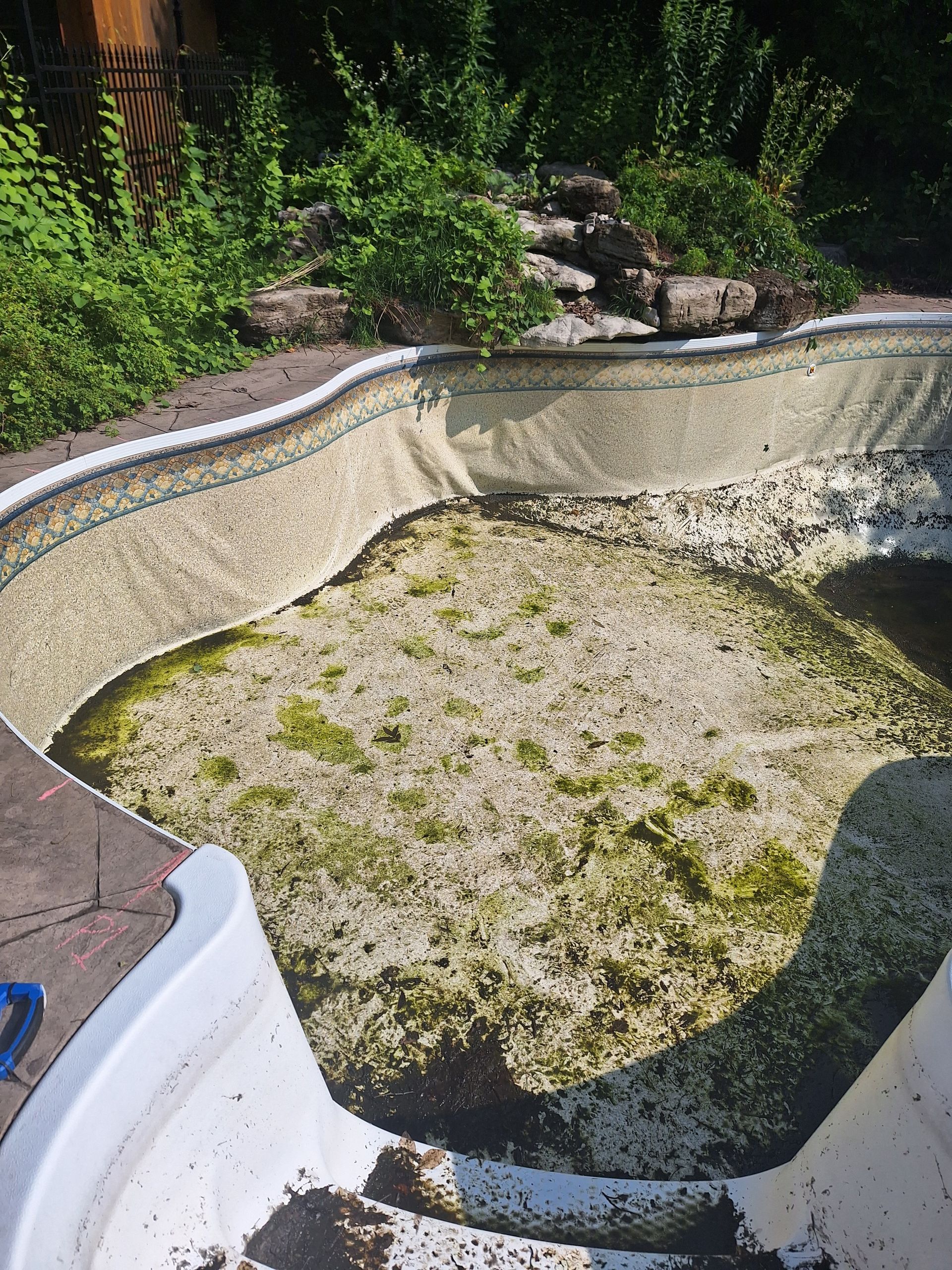 Une piscine vide, au fond sale et jonché de débris, avec un revêtement en vinyle décoloré, entourée de buissons verts.