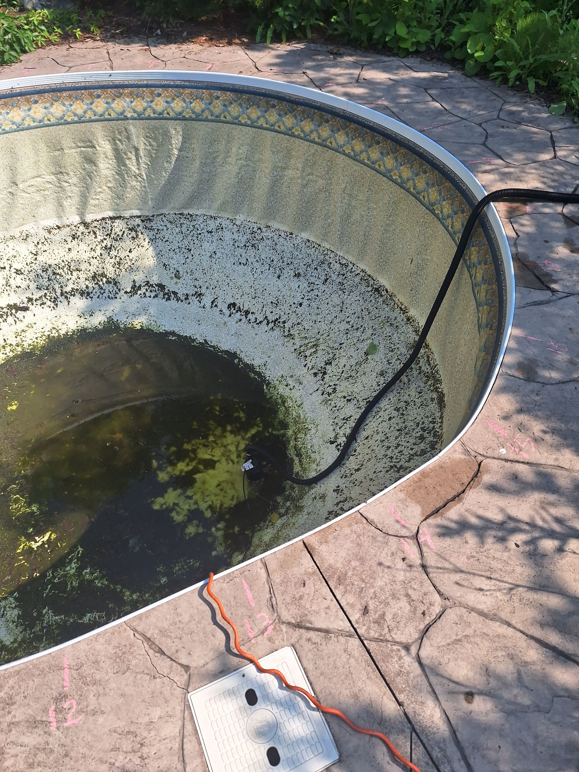 Une piscine est vidée à l'aide d'une pompe submersible reliée à un câble d'alimentation orange, laissant apparaître des algues vertes et de l'eau stagnante.