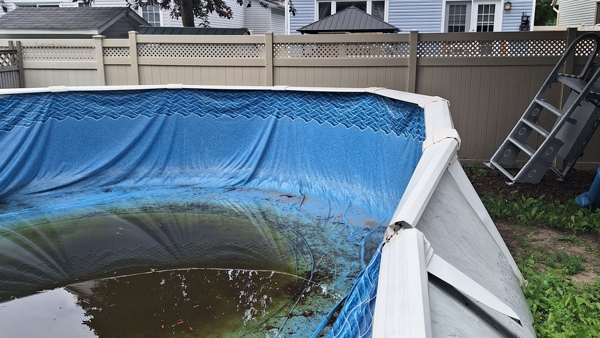 Une piscine hors sol vide dans un jardin, avec un revêtement bleu à motifs et une eau trouble au fond, près d'une échelle de piscine.