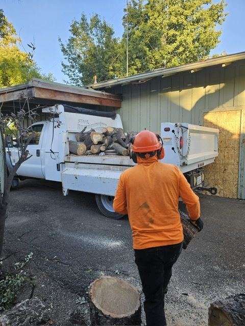 Tree Services | Anderson Tree Service | Merced