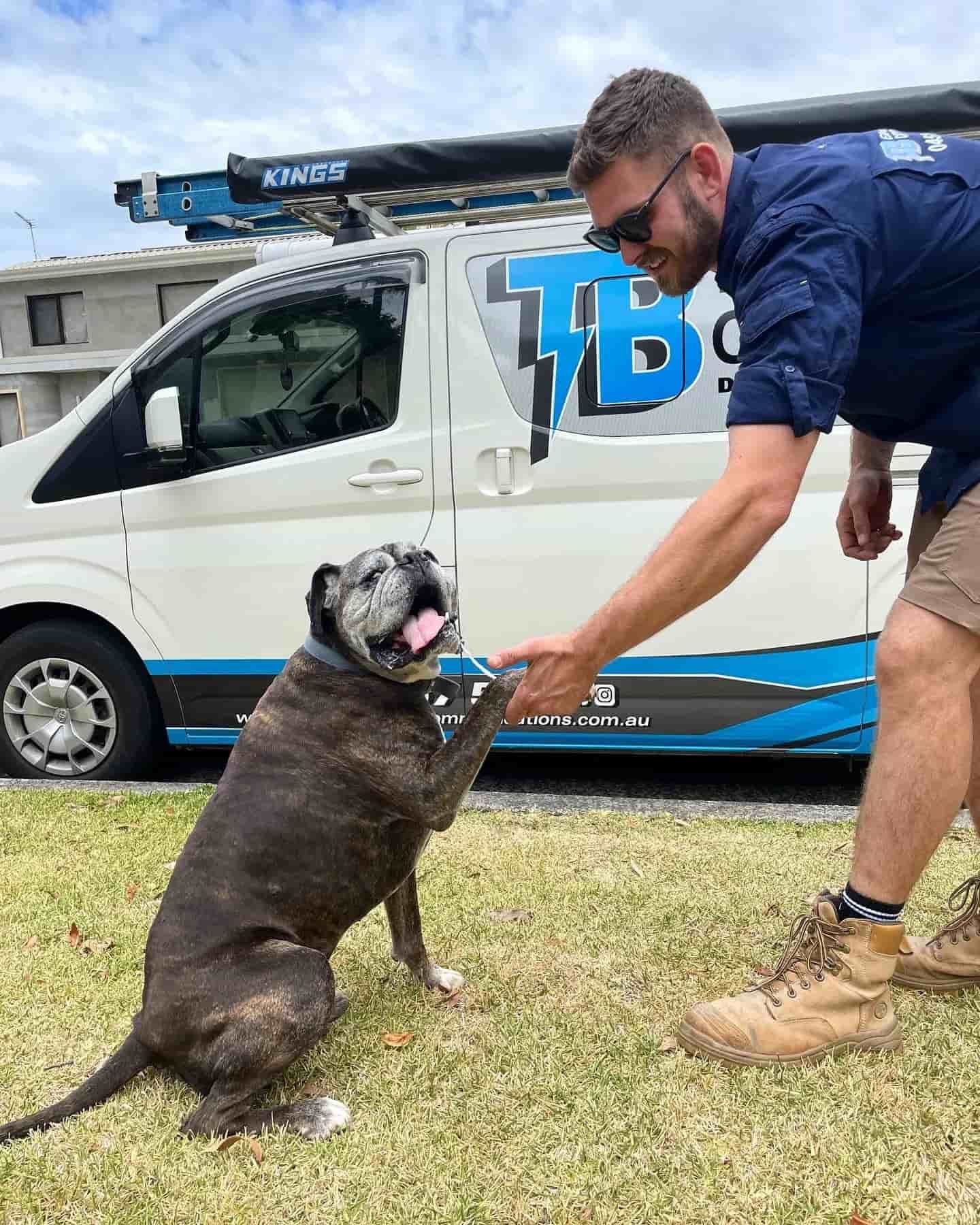 Electrician With A Dog Beside The Service Van — TB Electrical & Communications in West Gosford, NSW