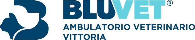 http://www.ambulatorioveterinariovittoria.it ambulatorio veterinario Vittoria