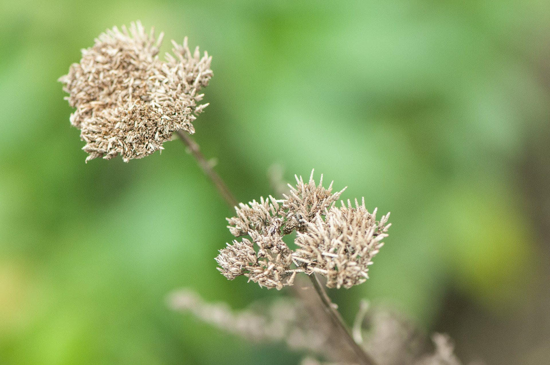 Impressionen aus Gartenbau und Gartengestaltung