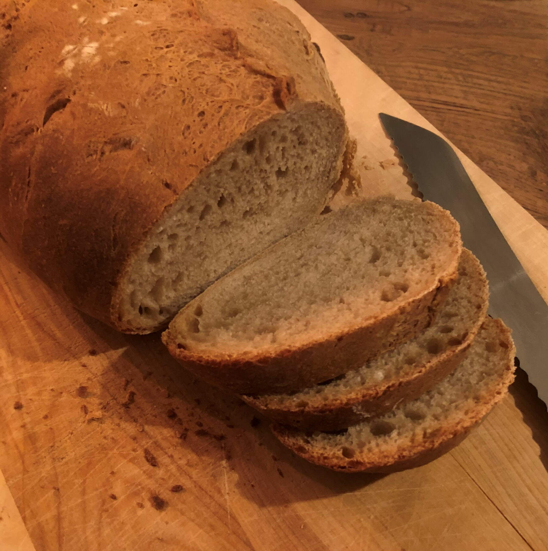 WegelinOfen Pizza- und Holzbackofen aus Lehm