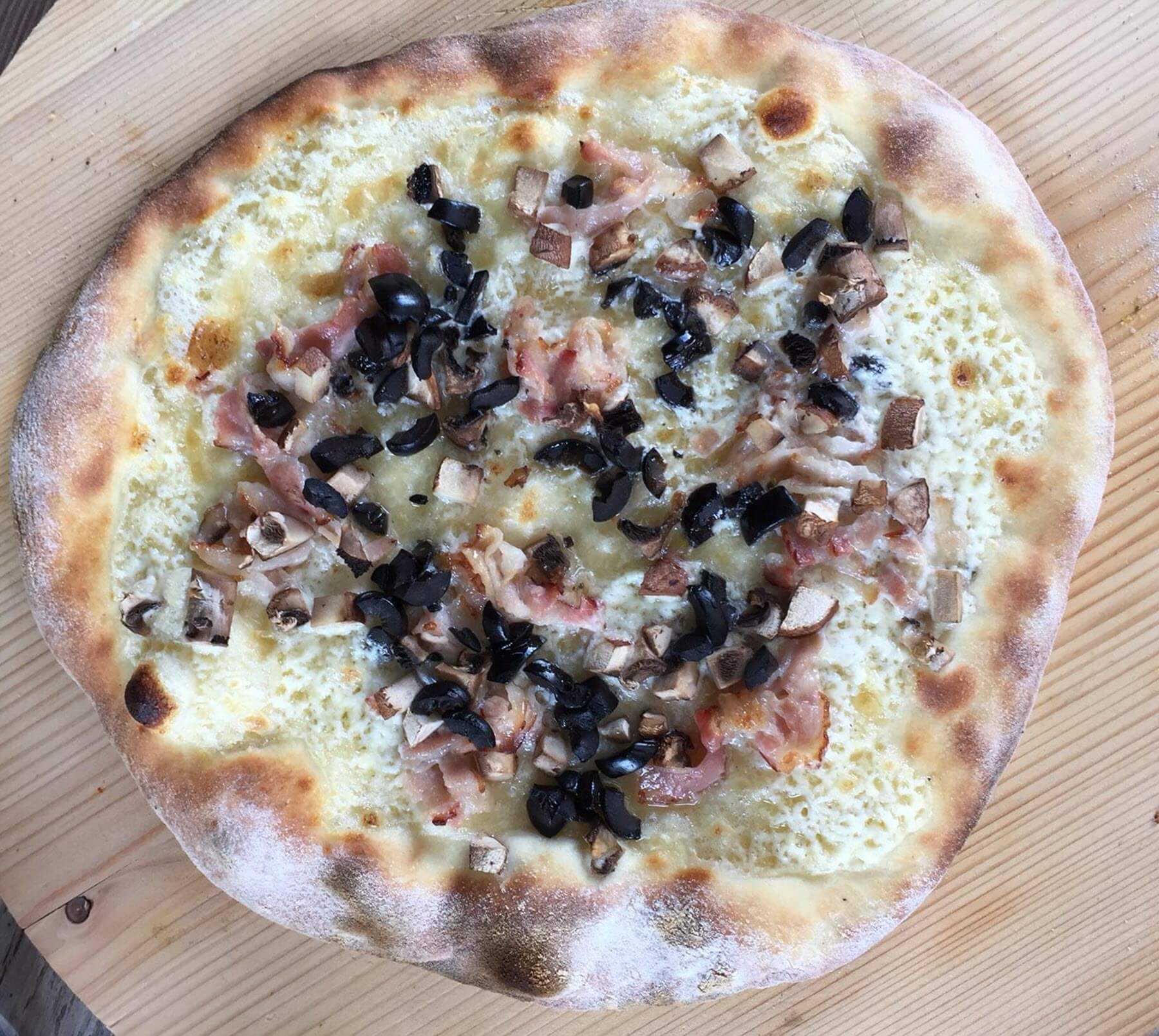 WegelinOfen Pizza- und Holzbackofen aus Lehm