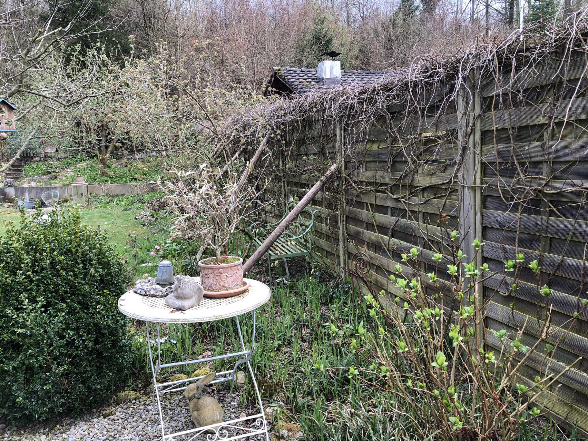 Gartenbau, Gartengestaltung, Terrassengestaltung