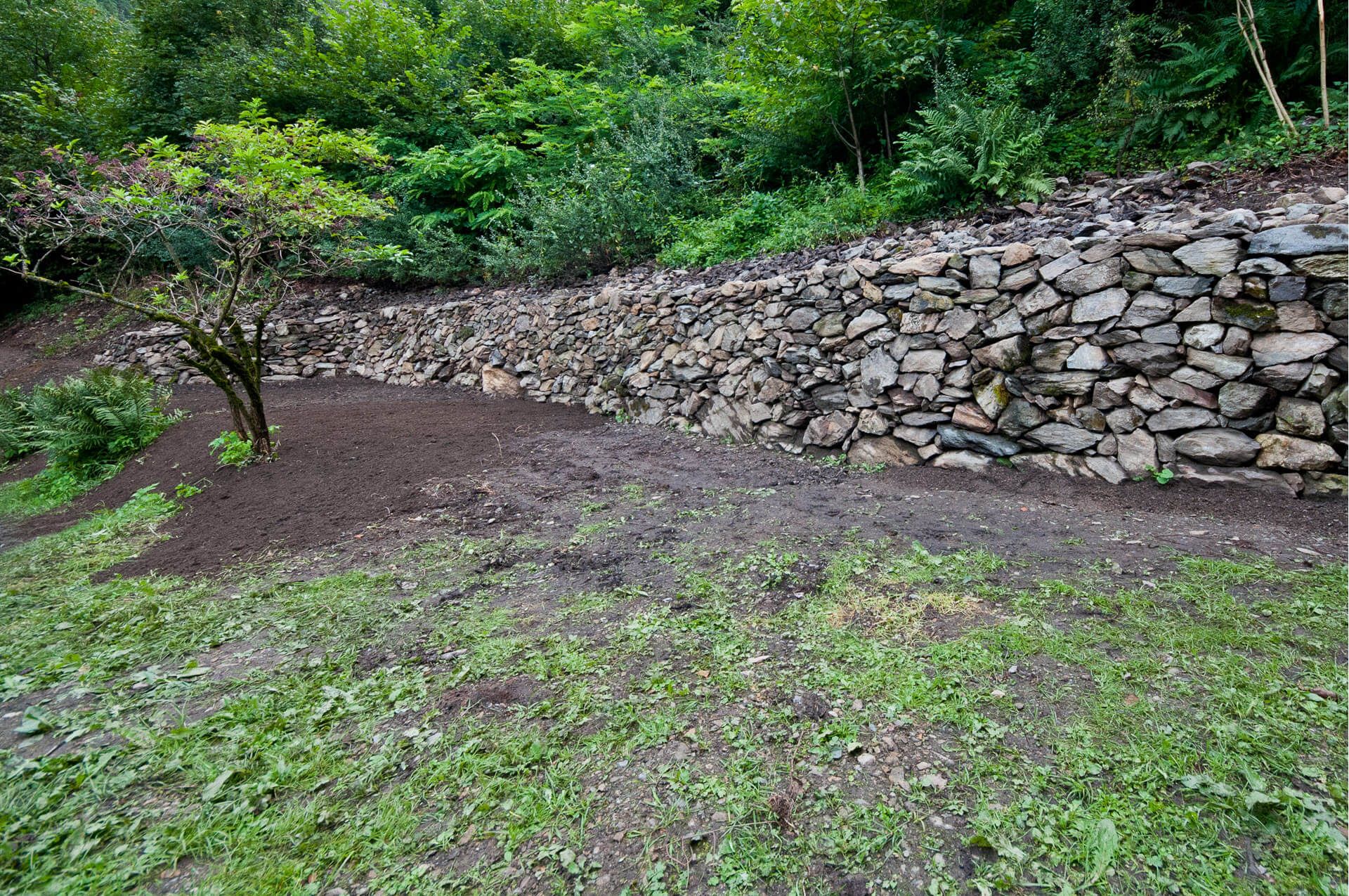 Gartenbau, Gartengestaltung, Terrassengestaltung