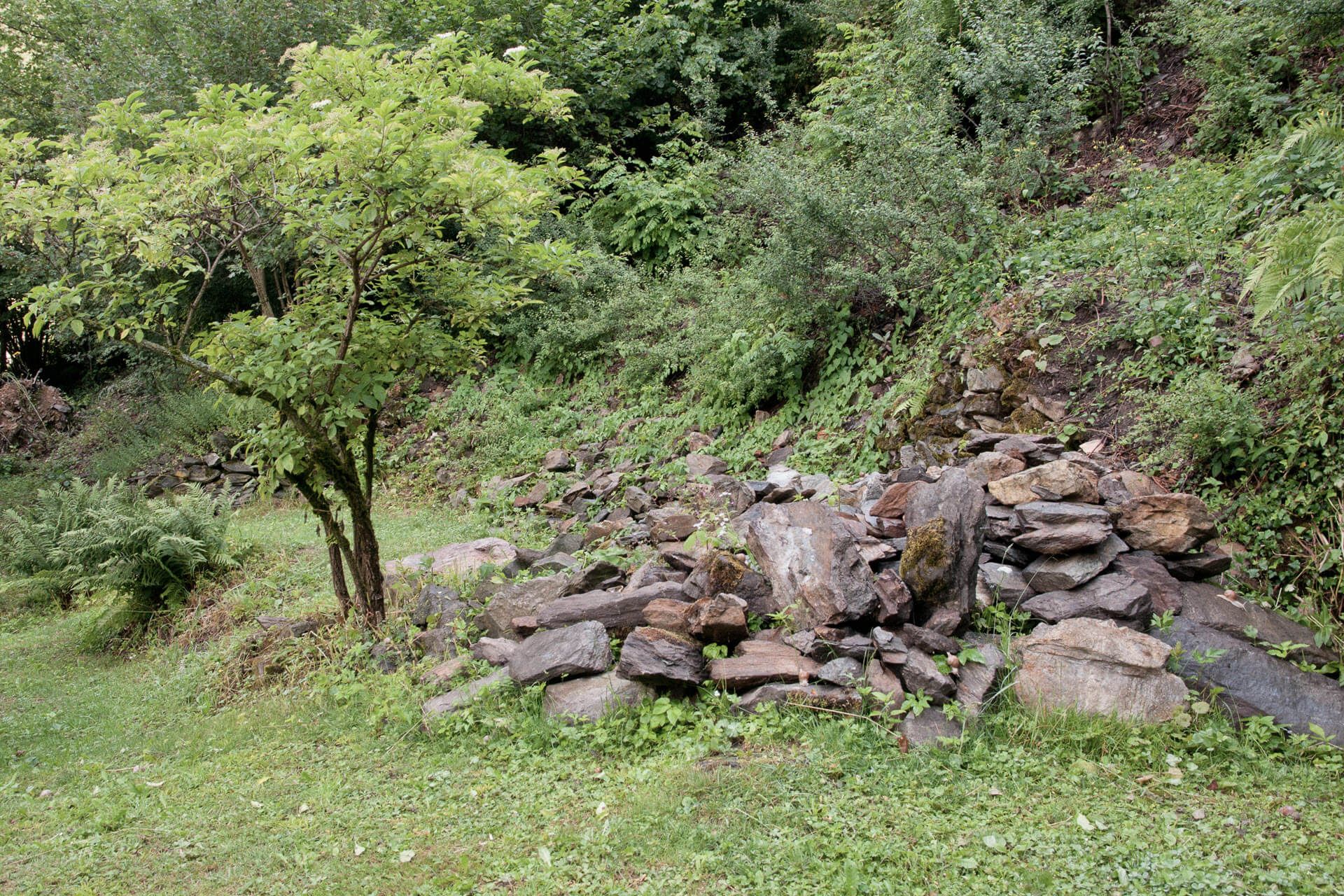 Gartenbau, Gartengestaltung, Terrassengestaltung