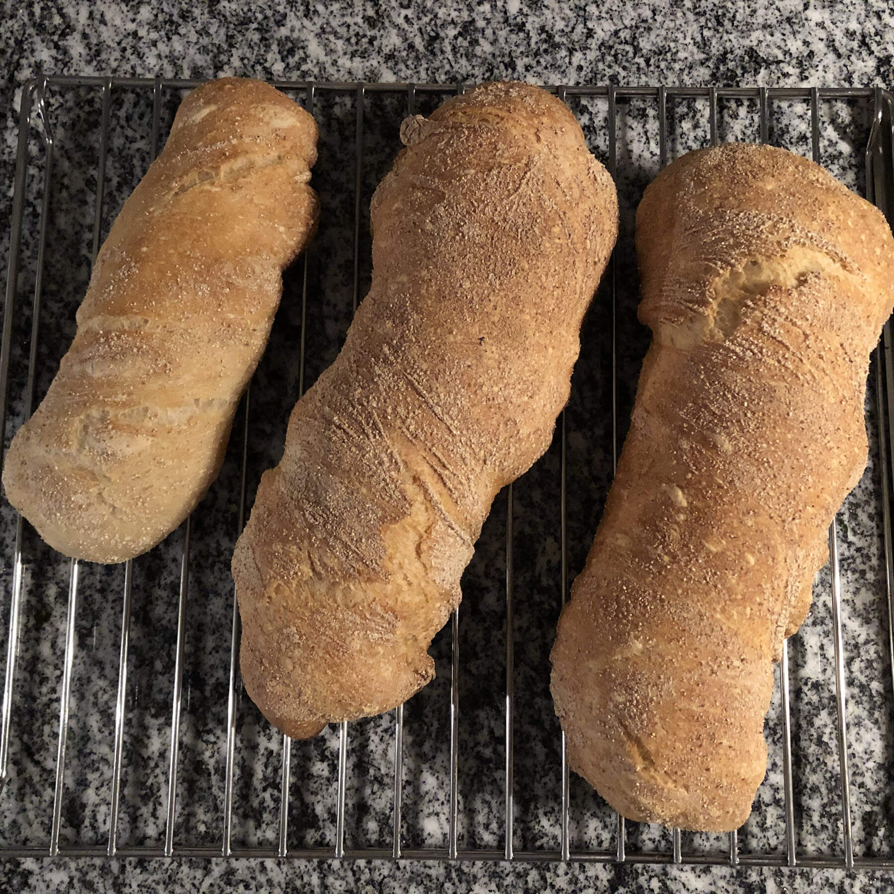 WegelinOfen Pizza- und Holzbackofen aus Lehm