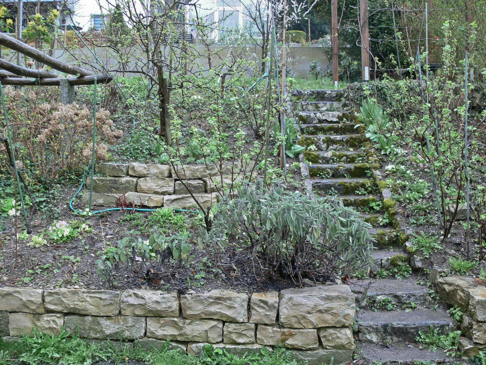 Gartenbau, Gartengestaltung, Terrassengestaltung
