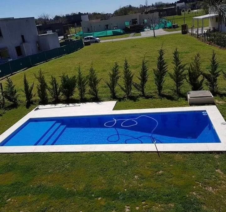 Patio trasero con una piscina rectangular azul, césped verde y una hilera de árboles pequeños.