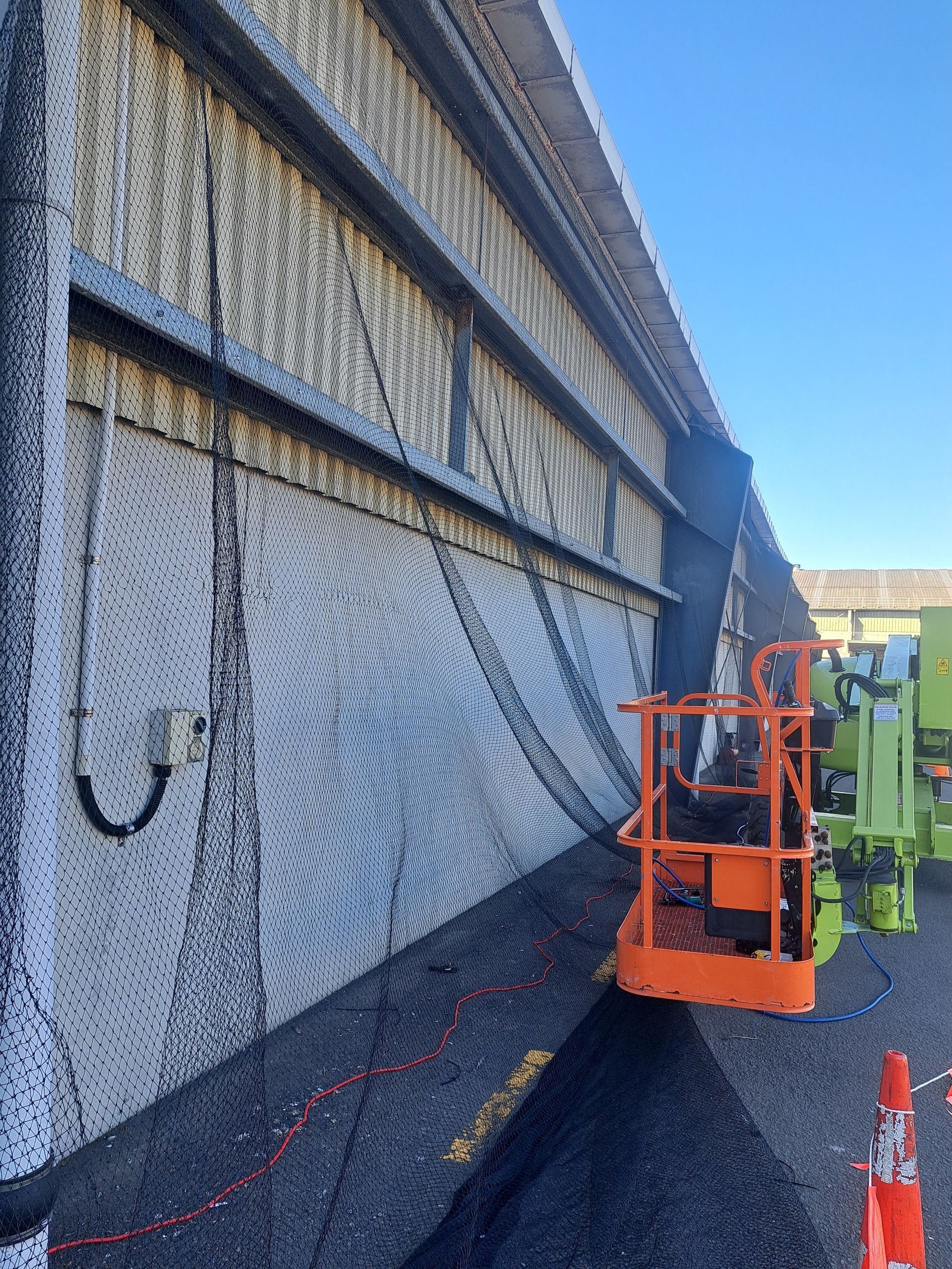 Bird Proofing