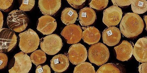 Log row