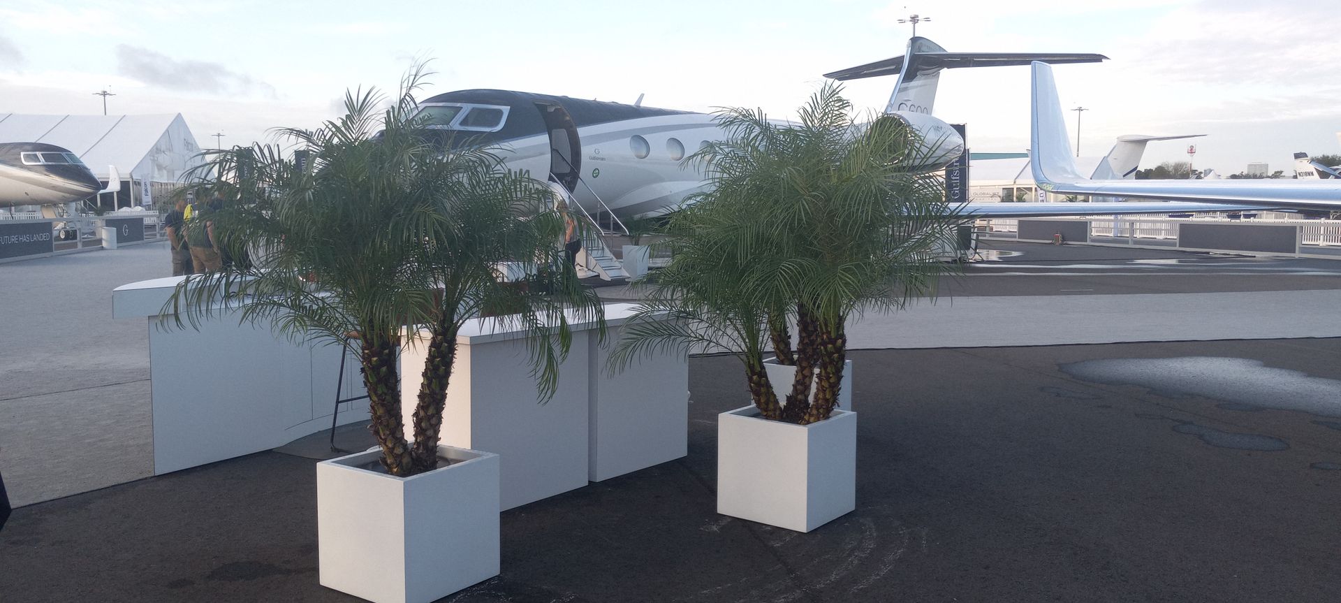 A plane is parked next to a row of planters with trees in them.