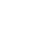 Hollister Logo
