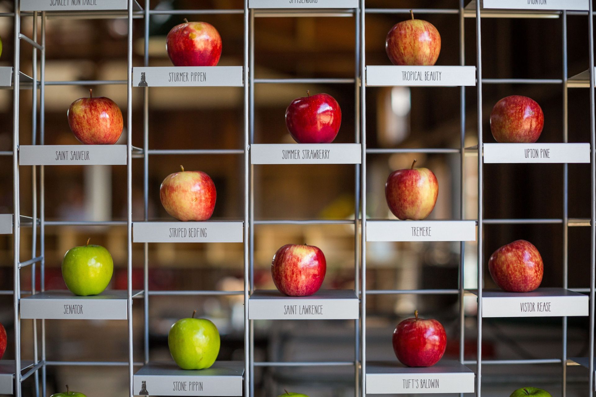 A bunch of apples are lined up on a rack
