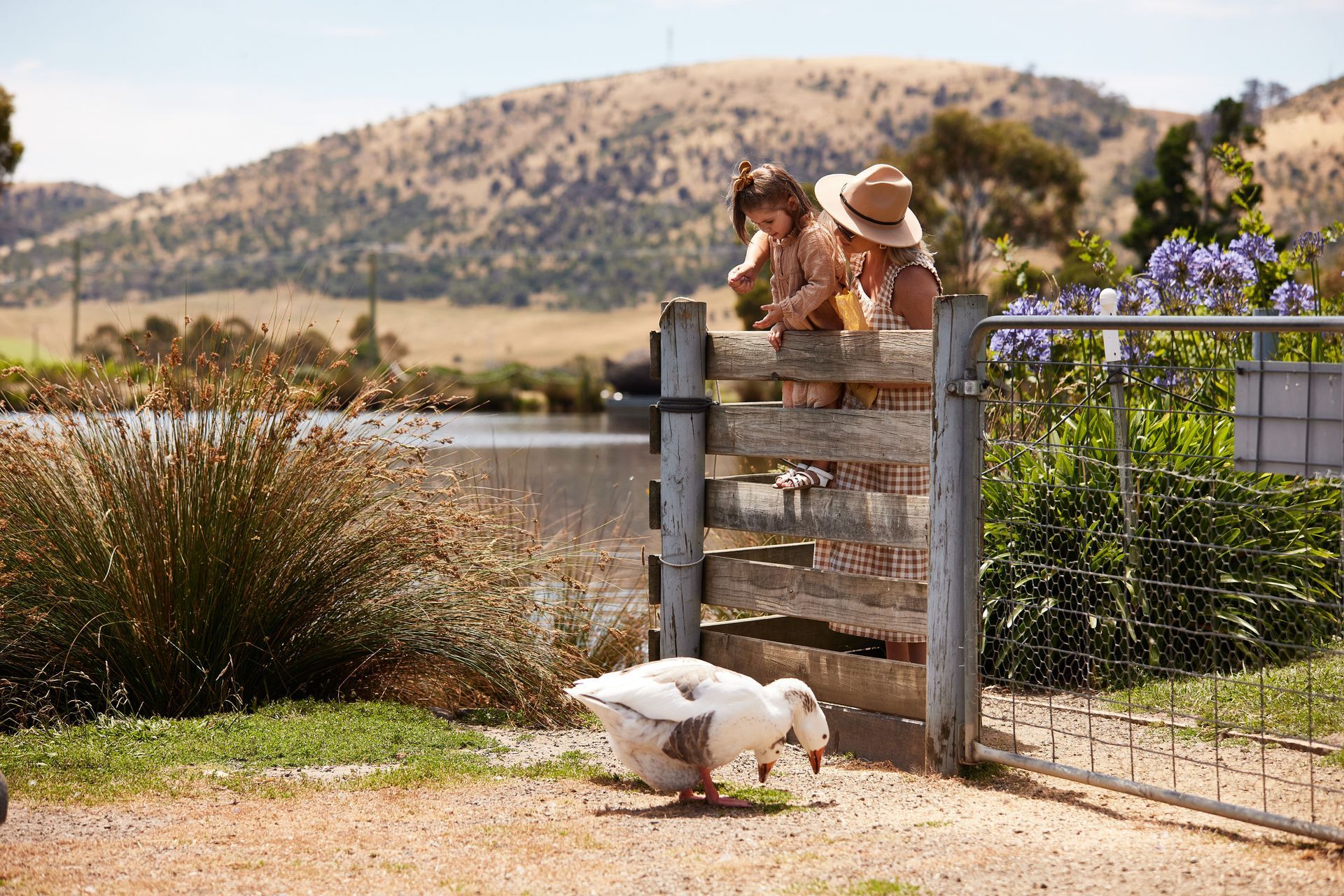 A woman and a child are standing on a fence looking at a goose.