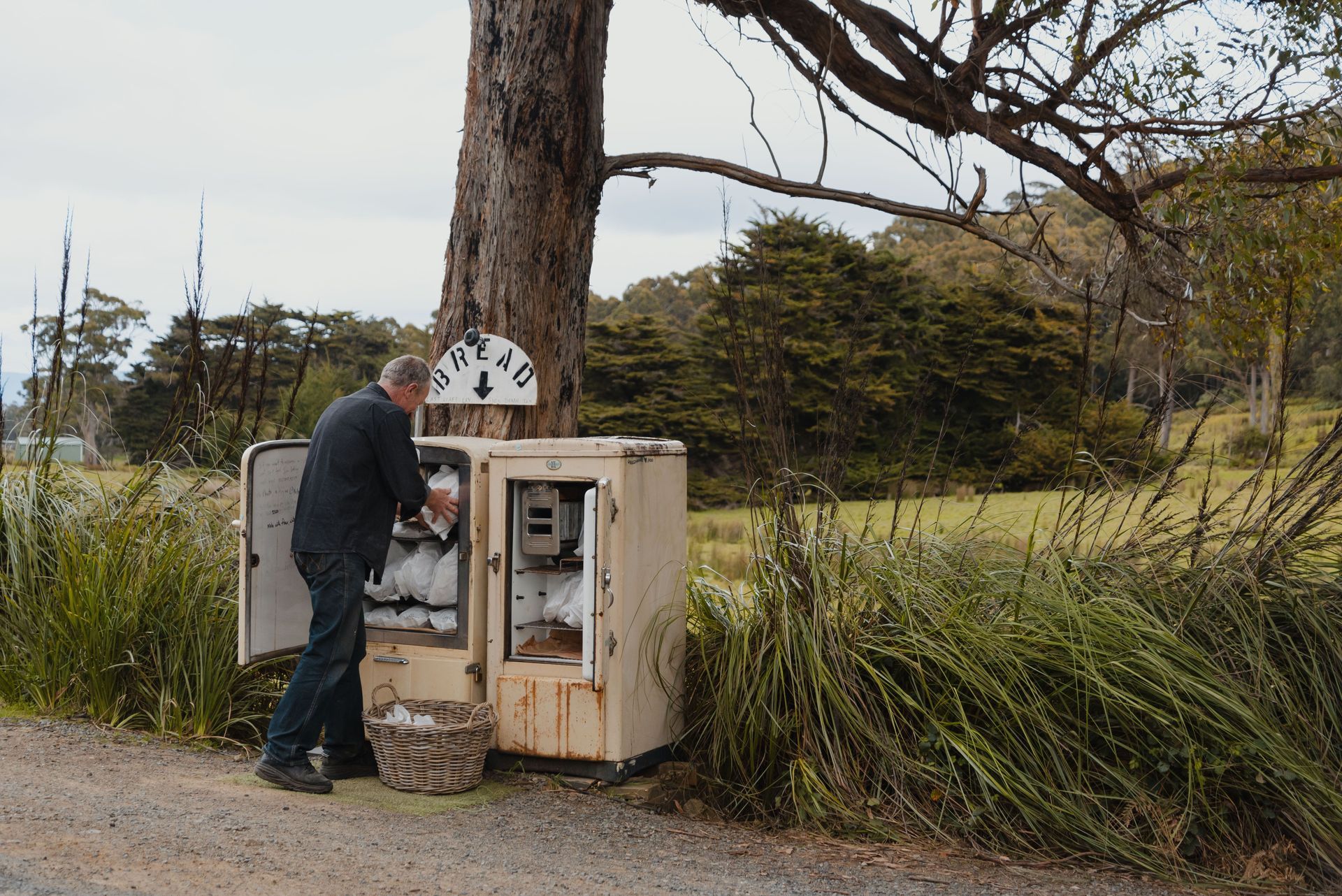 A man is opening a box next to a tree.