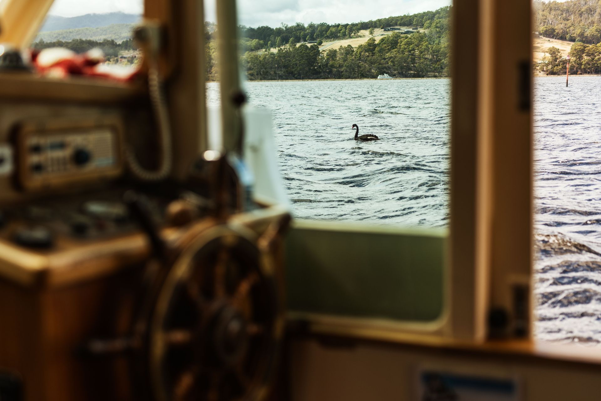 A boat with a steering wheel and a swan in the water