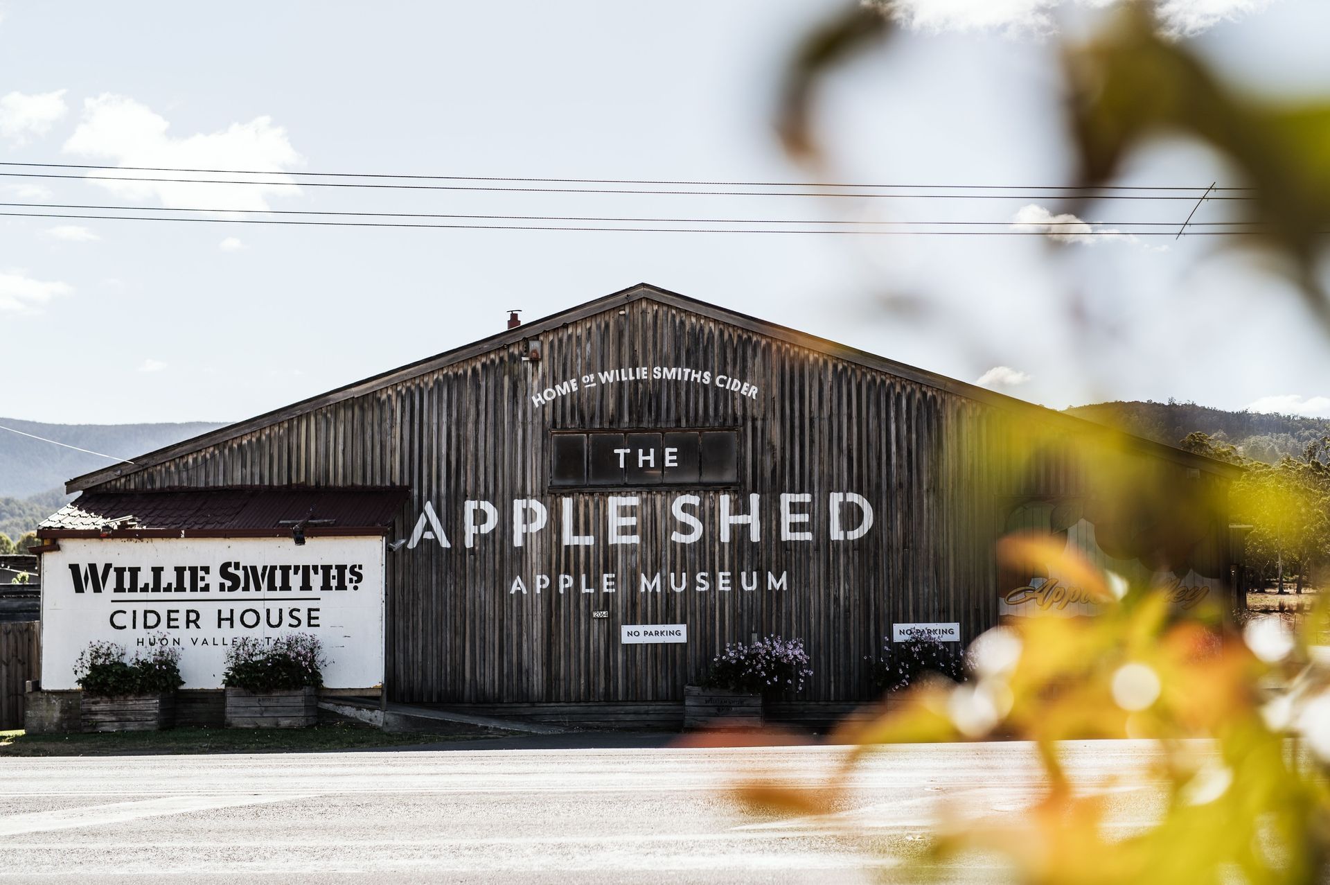 A large wooden building with a sign that says the apple shed apple museum.