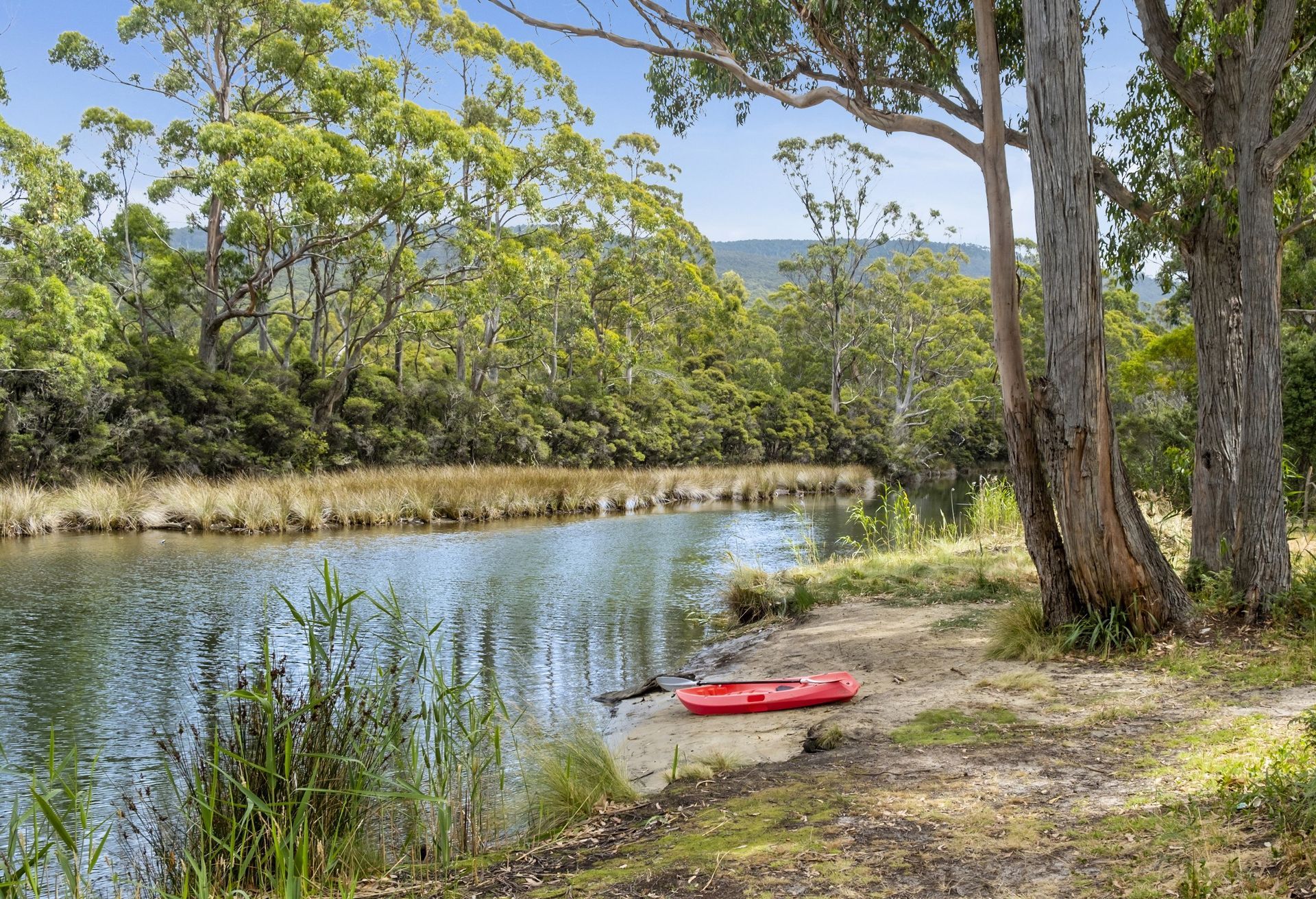 A red kayak is sitting on the shore of a lake surrounded by trees.