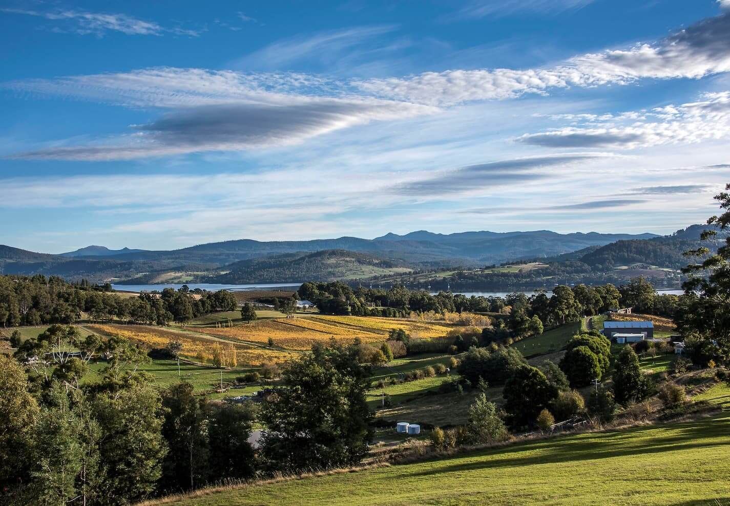 A view of a valley with mountains in the background and trees in the foreground.