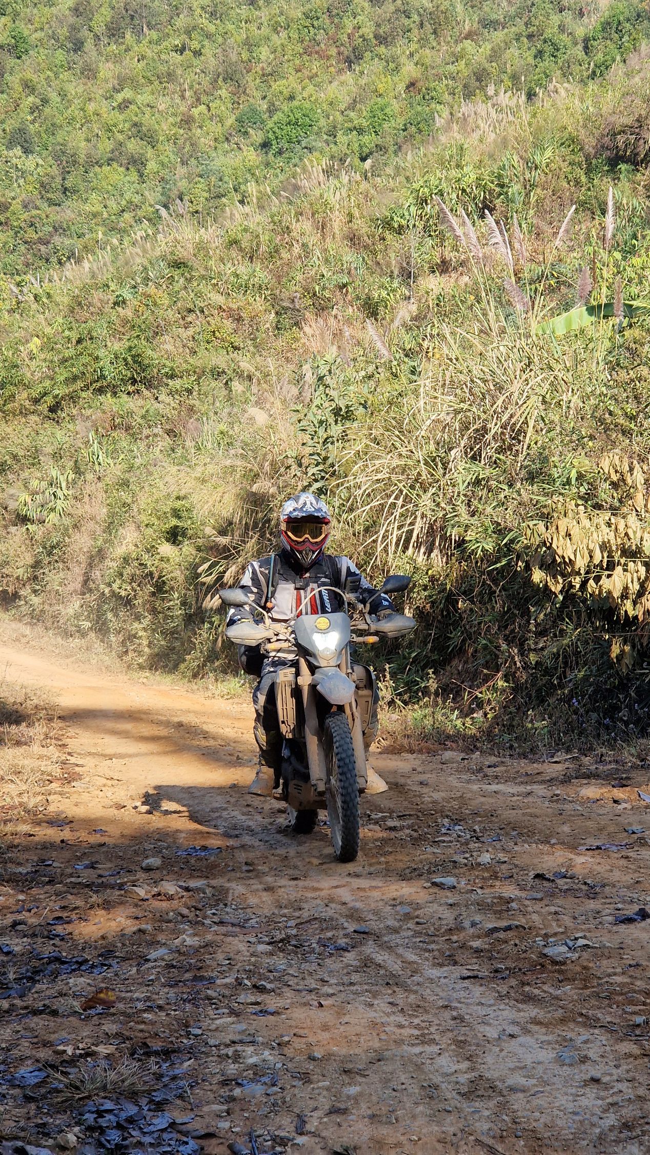 A motorcyclist rides a dirt bike along a sunlit, unpaved trail lined with dense forest and brush in Laos.