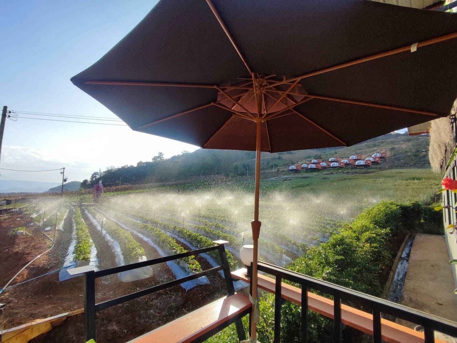 A brown patio umbrella overlooks a hillside farm being watered by sprinklers under a bright blue sky.