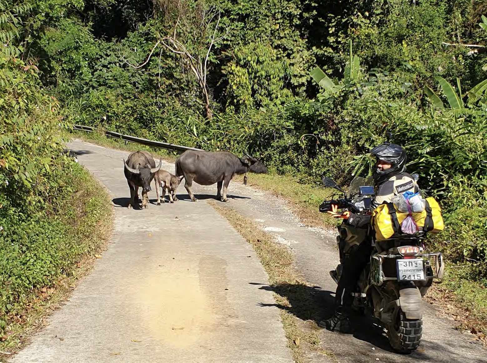 Bike Tour Asia in the GS Trophy Tour