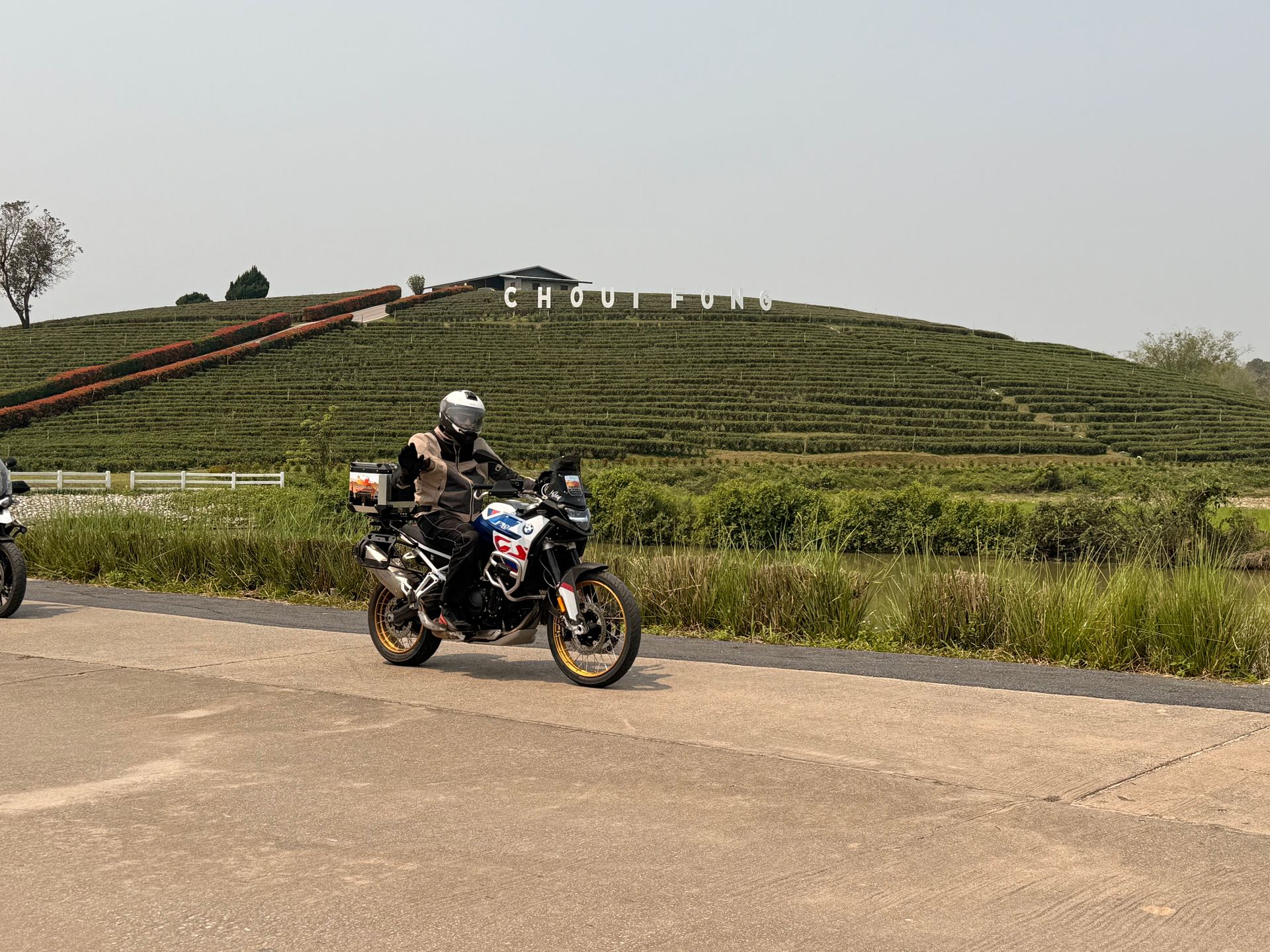 Northern Thailand Tea Plantation