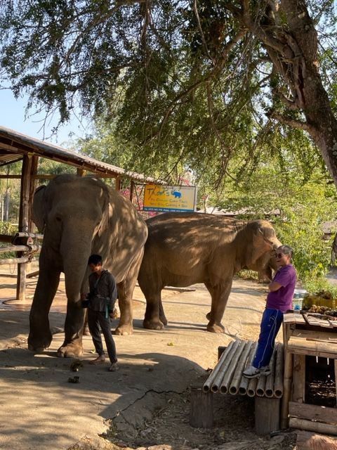 elephant sanctuary in the north of thailand