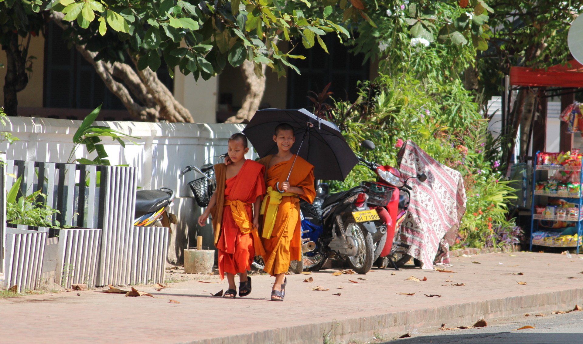little lao monks