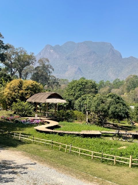 view at lunch in pai, thailand
