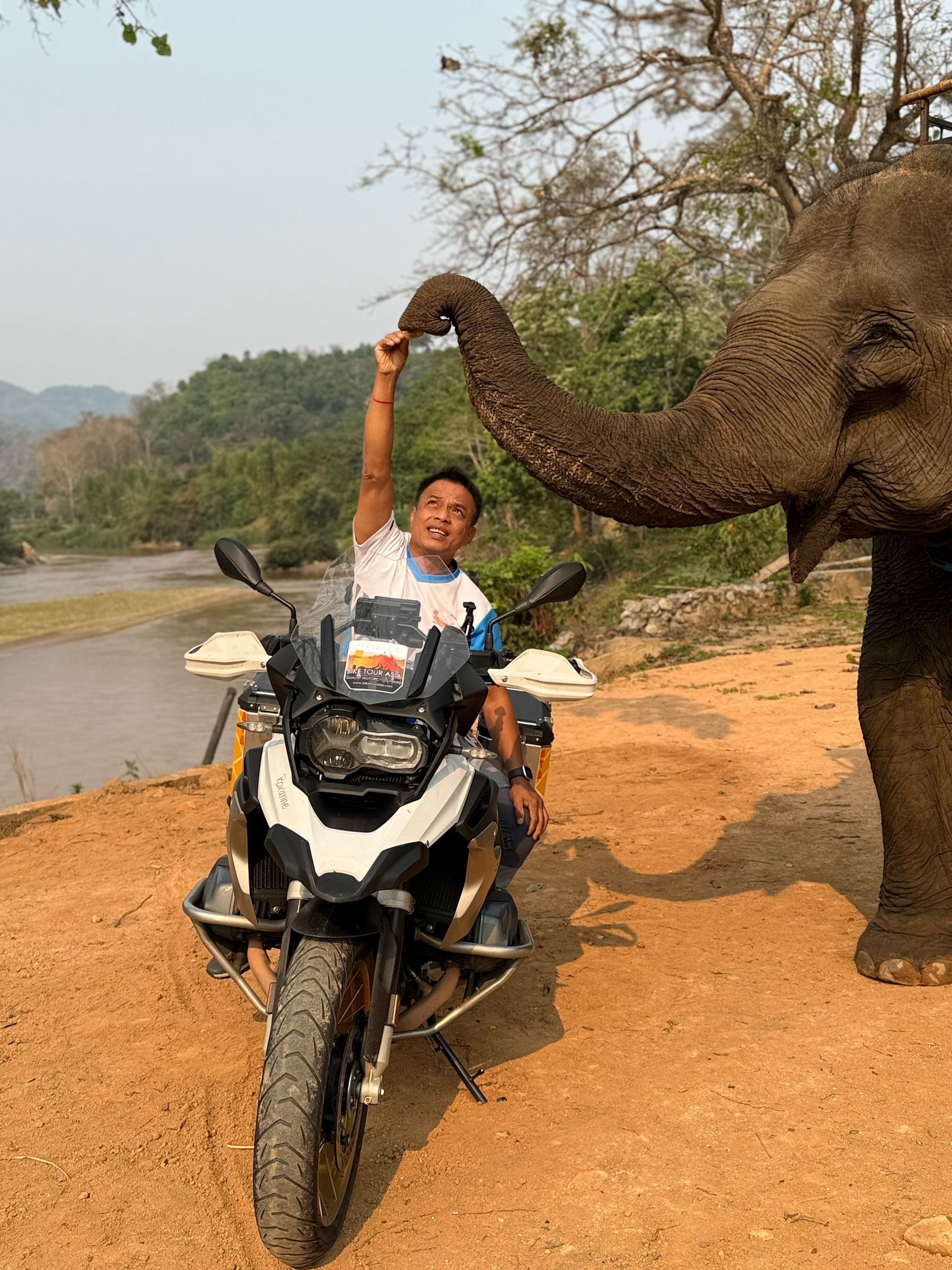 thailand-motorcycle-tour-elephant