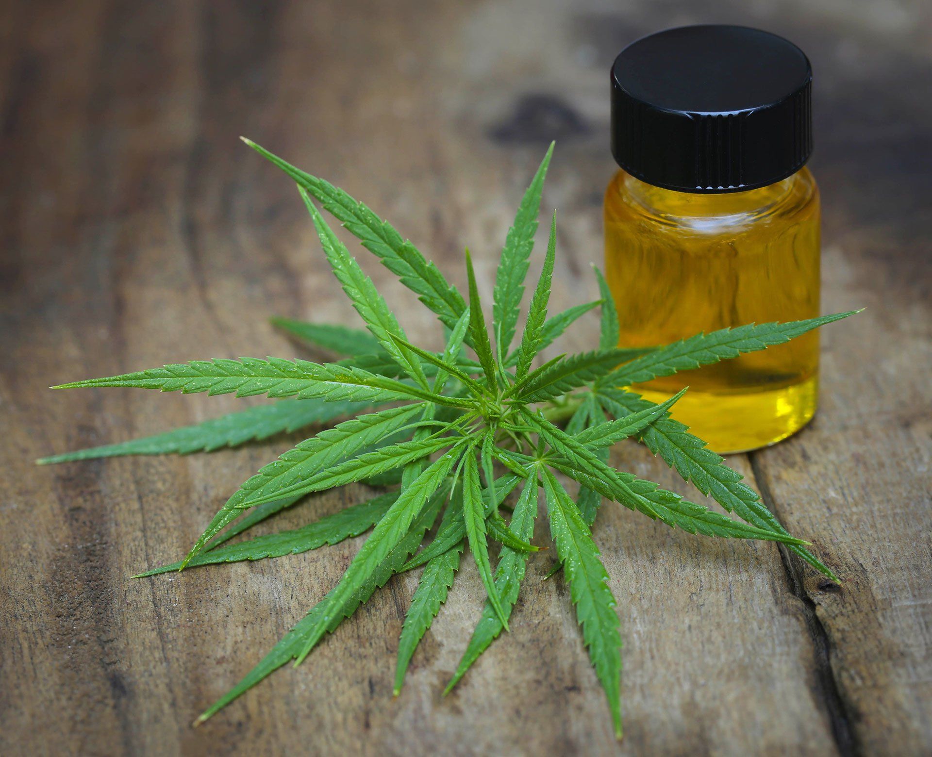 Medical Marijuana