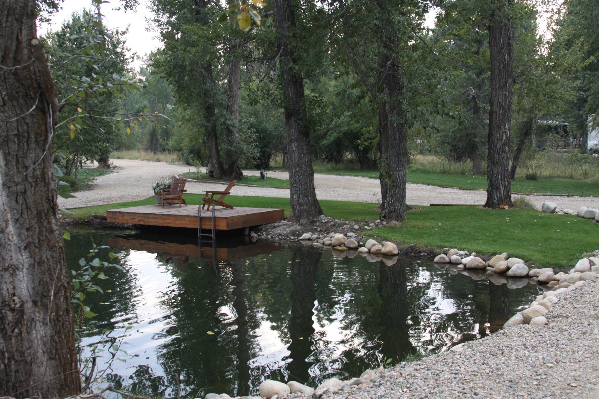 lake by the woods