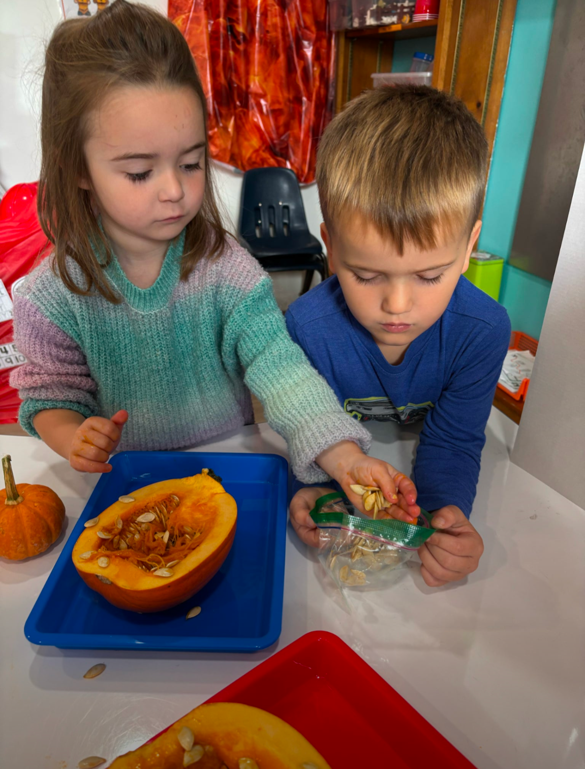 A boy and a girl are cutting a pumpkin with scissors