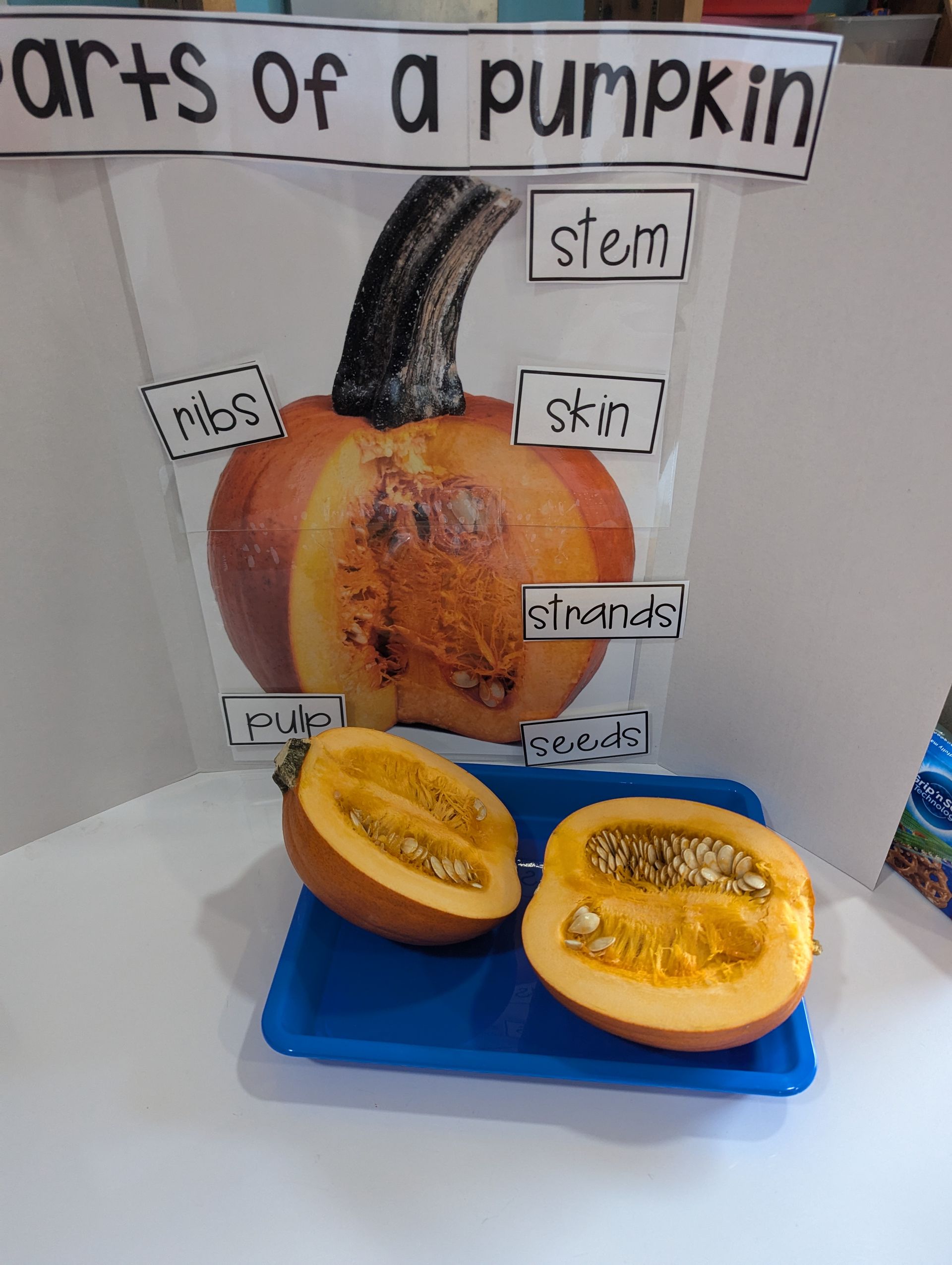 A pumpkin is cut in half on a blue tray on a table.