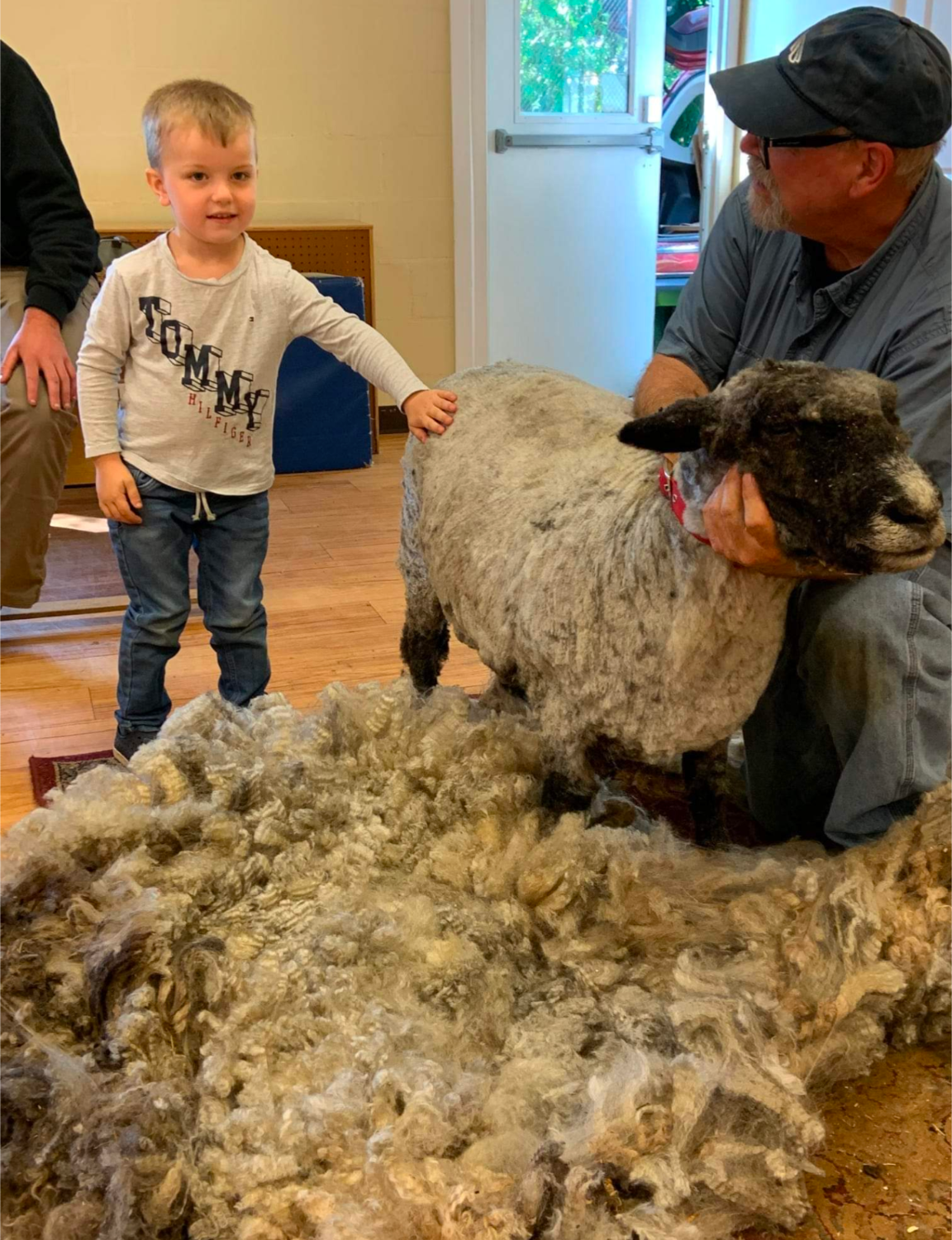 A little boy is standing next to a sheep while a man holds it.