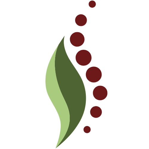 Logo Fysiotherapie Mensinga