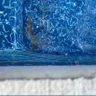 pool liner