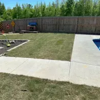 backyard pool