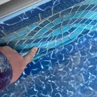 pool liner