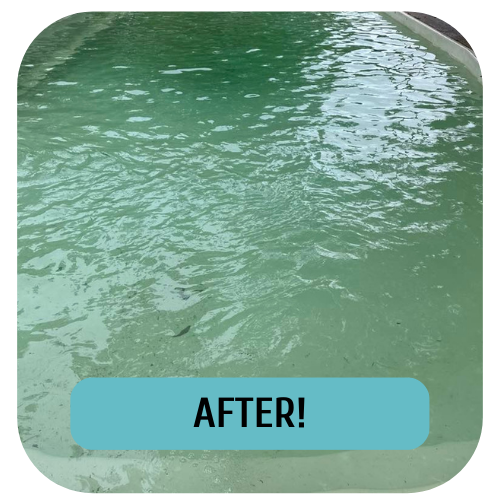 pool care