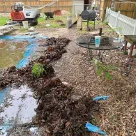 spring clean up of inground pool