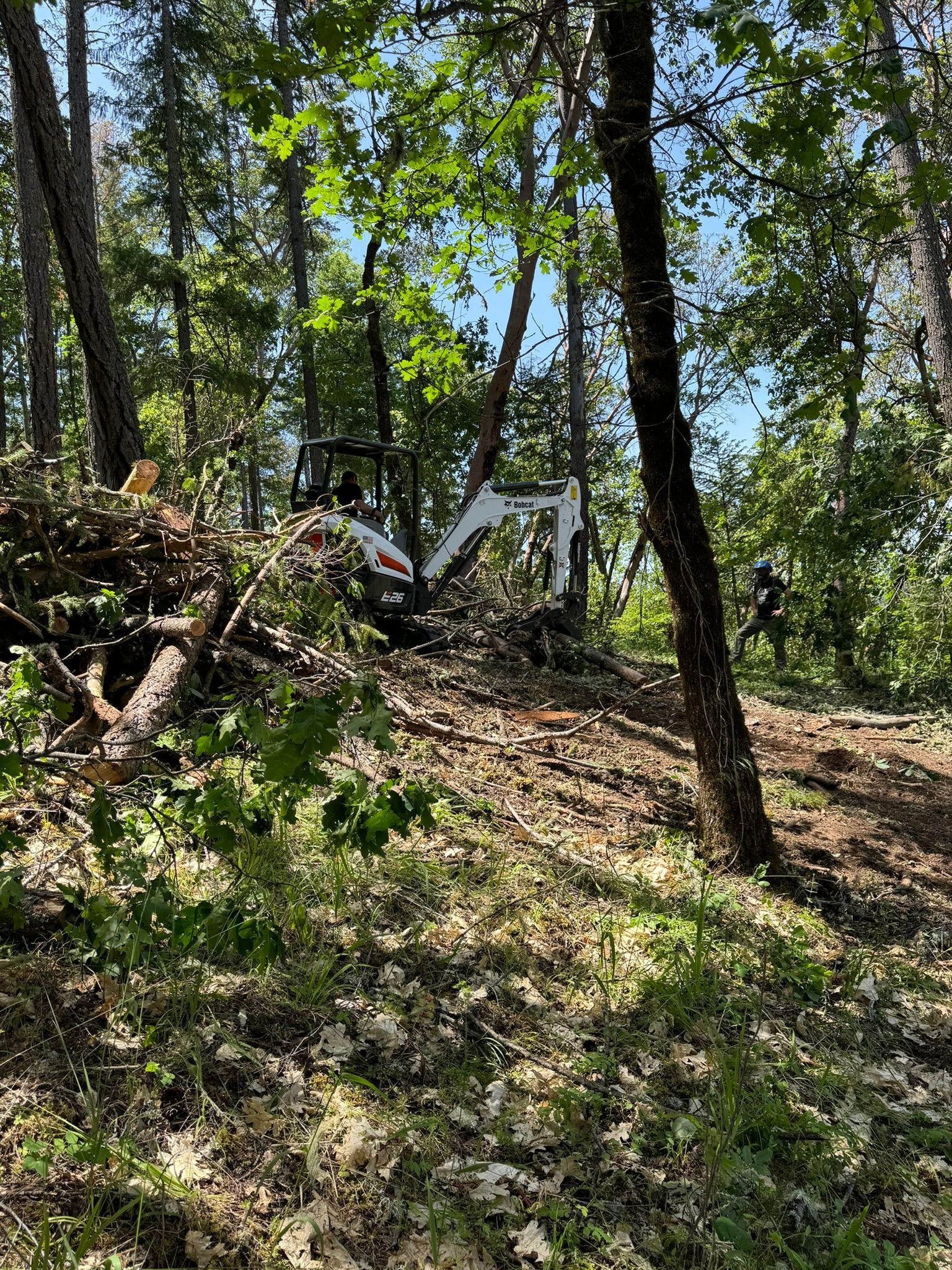 Fire Mitigation Medford Oregon Grants Pass Oregon